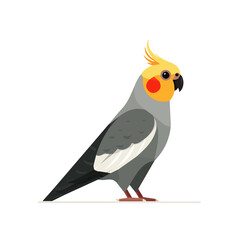 A_Simple_flat_2D_icon_of_a_cockatiel_isolated_on_a_white_simple illustration with EPS format design, simple flat 2D icon, minimalist design, clipart