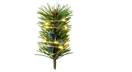 Festive christmas tree branch adorned with lights and small pine cones detail on transparent background