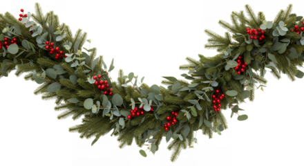Festive christmas garland with red berries and eucalyptus on a black backdrop on transparent background