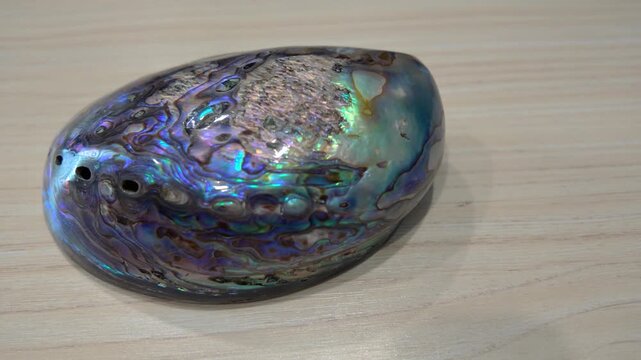 New Zealand Paua shell (Haliotis Iris) isolated on white background.