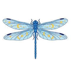 Celestial Dragonfly Illustration: A whimsical design with stars and moons on blue wings