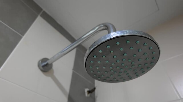 A chrome shower head with watermark attached to a curved pipe in a contemporary bathroom. 
