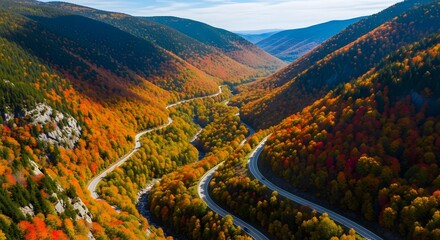 Winding road through vibrant autumn mountain valley, aerial view