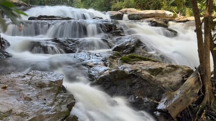 Fototapeta premium waterfall in the forest
