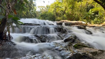 waterfall in the forest