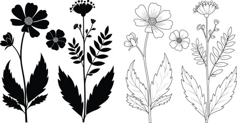 Botanical illustration featuring diverse wildflowers and foliage in black and white