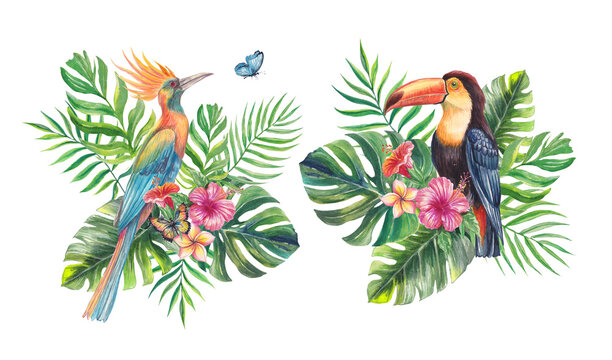 Watercolor illustration of a bird of paradise and toucan surrounded by tropical leaves and vibrant flowers. Hand-painted exotic composition perfect for summer designs, prints, packaging.