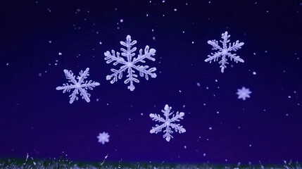 Delicate snowflakes falling in a dark blue winter sky