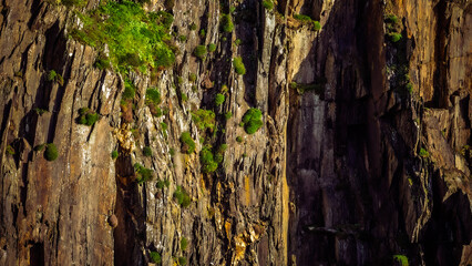 Warm hues illuminate a weathered rock surface, revealing a story etched in stone. The contrast of light and shadow is mesmerizing.