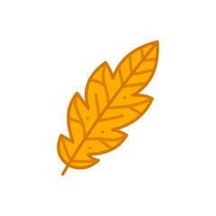 A bright orange leaf with visible veins and delicately curved edges, showcasing a vibrant natural look. Perfect for autumn illustrations, botanical motifs, eco-themed visuals, and decorative designs.