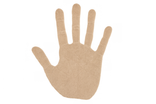 Human hand showing stop, warning, or greeting gesture with open palm and fingers, isolated cutout on transparent background