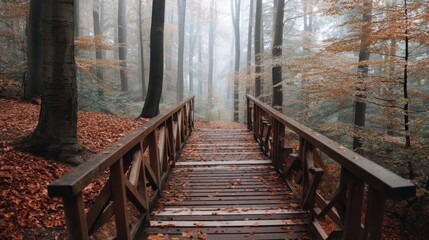 Fototapeta premium Wooden bridge in a foggy autumn forest with fallen leaves. Ethereal nature scene for seasonal backdrop and environmental design. Spooky woods with mist.