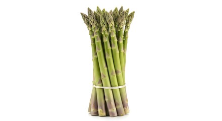 Bunch of fresh green asparagus spears tied with a white elastic band isolated on a white background
