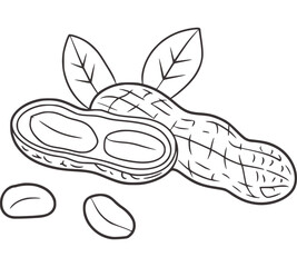 Black and white line drawing of peanuts and leaves