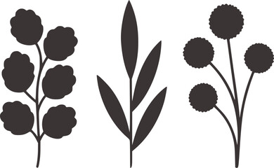 Three minimalist dark grey plant silhouettes on white