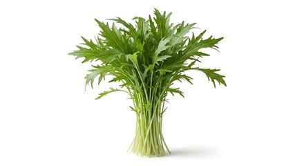 Bunch of fresh green mizuna leaves with thin stems on a white background greens leafy
