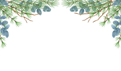 Christmas frame with winter greenery, spruce, pine tree twig and eucalyptus branch. New Year design for greeting or invitation.