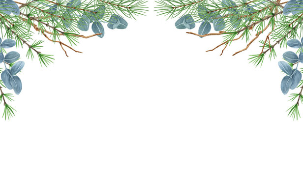 Christmas frame with winter greenery, spruce, pine tree twig and eucalyptus branch. New Year design for greeting or invitation.