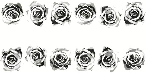 Monochrome roses repeating pattern on white background floral design