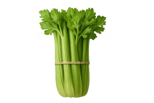 Fresh green celery bunch tied with twine, offering healthy organic food ingredients, crisp raw vegetable concept