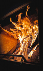 fire in the fireplace