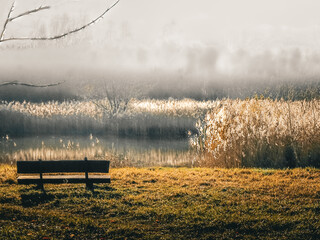 bench in the fog