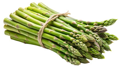 A fresh bundle of vibrant green asparagus stalks tied with natural twine isolated on transparent background