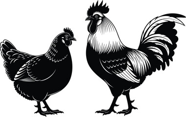 Black silhouette of a rooster and a hen standing together, farm animal vector illustration isolated on white background for agriculture logo design