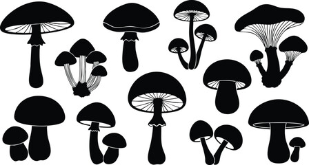 Various mushroom silhouettes showcasing diverse shapes and sizes for artistic and educational purposes 