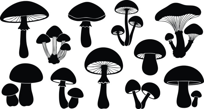 Various mushroom silhouettes showcasing diverse shapes and sizes for artistic and educational purposes 