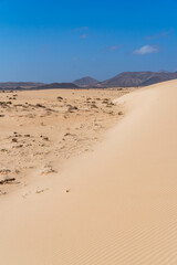 Natural park Dunes of Corralejo on Fuerteventura