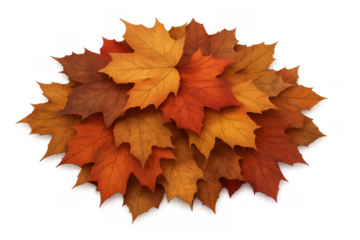 Group of autumn maple leaves creating a layered texture, showing seasonal change and natural beauty on transparent background