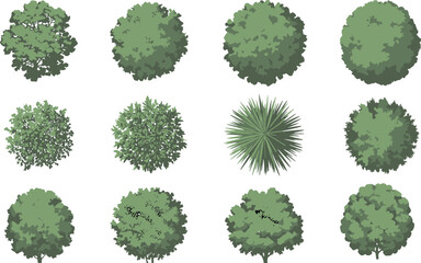 Top view tree icons, foliage patterns, landscape vector set, architectural vegetation design, garden planning elements, isometric canopy illustration