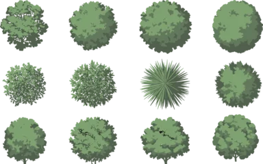 Selbstklebende Fototapeten Olive Top view tree icons, foliage patterns, landscape vector set, architectural vegetation design, garden planning elements, isometric canopy illustration  © Creative Asif