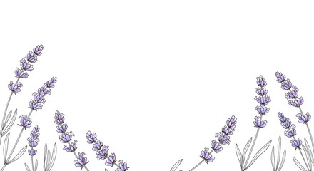 Watercolor lavender sprigs and green leaves forming a delicate floral border