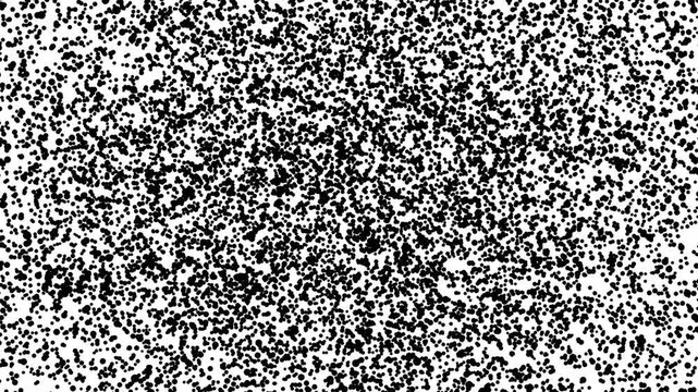 High-density black particle noise texture on white background, abstract grain scattering pattern perfect for motion graphics, digital design, transitions, overlays, and minimalist creative visuals