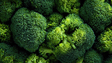 Close-up of fresh, vibrant green broccoli florets, highlighting their intricate texture and healthy appearance, ready for culinary use.