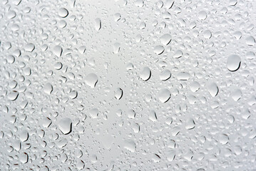 Closeup shot of tiny rain droplets clinging to shiny surface, each drop reflecting its surroundings and creating delicate pattern of nature, Selective focus