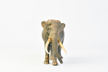  Stegodon animal on isolated background