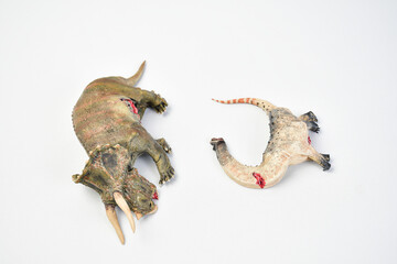 Dinosaur remains animal on isolated background