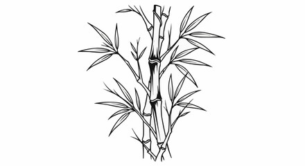 Elegant Bamboo Stalks with Delicate Leaves Hand Drawn Sketch.