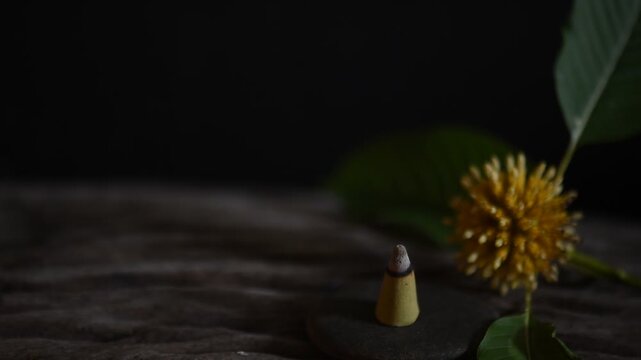 Aromatherapy with Kratom or Mitragyna speciosa Korth branch flower on black ceramic background.