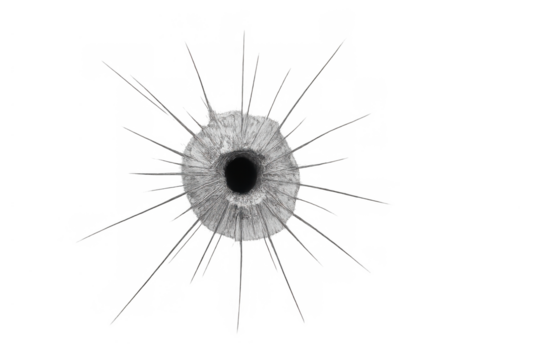 Bullet hole in glass with impact cracks, illustrating damage, violence, crime, and destruction on a transparent background