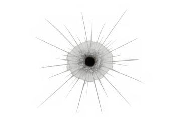 Bullet hole in a transparent surface, showing distinct radial crack patterns spreading from the central impact