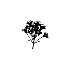 Obraz premium Minimalist wildflower silhouette icon