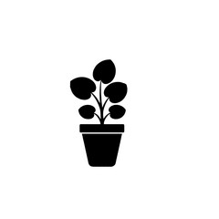 Potted plant with round leaves silhouette