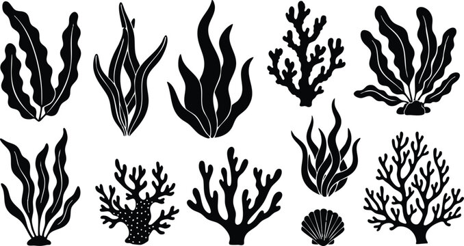 Various types of seaweed and coral in black silhouette style for marine-themed designs and illustrations 