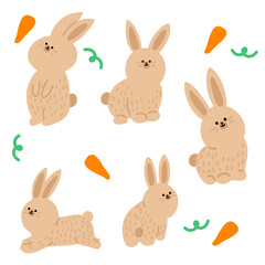 rabbit set3