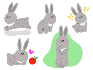 rabbit set2