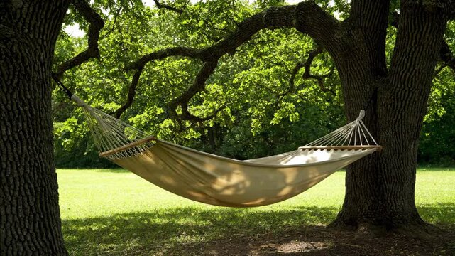 A comfortable cloth hammock hangs suspended between two large trees in a sunlit green park offering a peaceful spot for relaxation